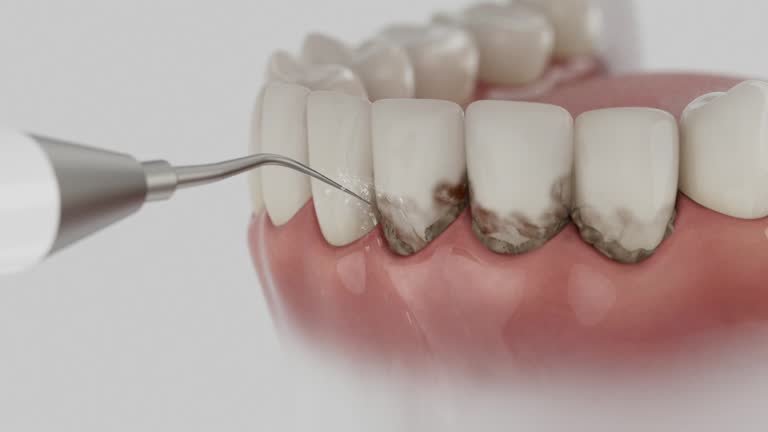 Reliable Dental contractor in Castle Pines Village, CO by Dentist Open Now